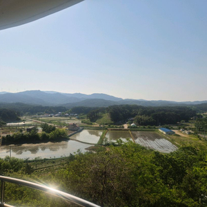 리본돌 싸게 구해요