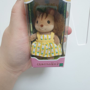 실바니안 호두다람쥐 소녀