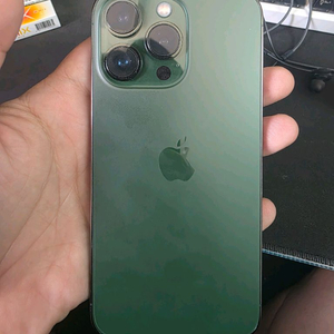 아이폰13pro 512 알파인그린