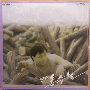 홍수철 lp