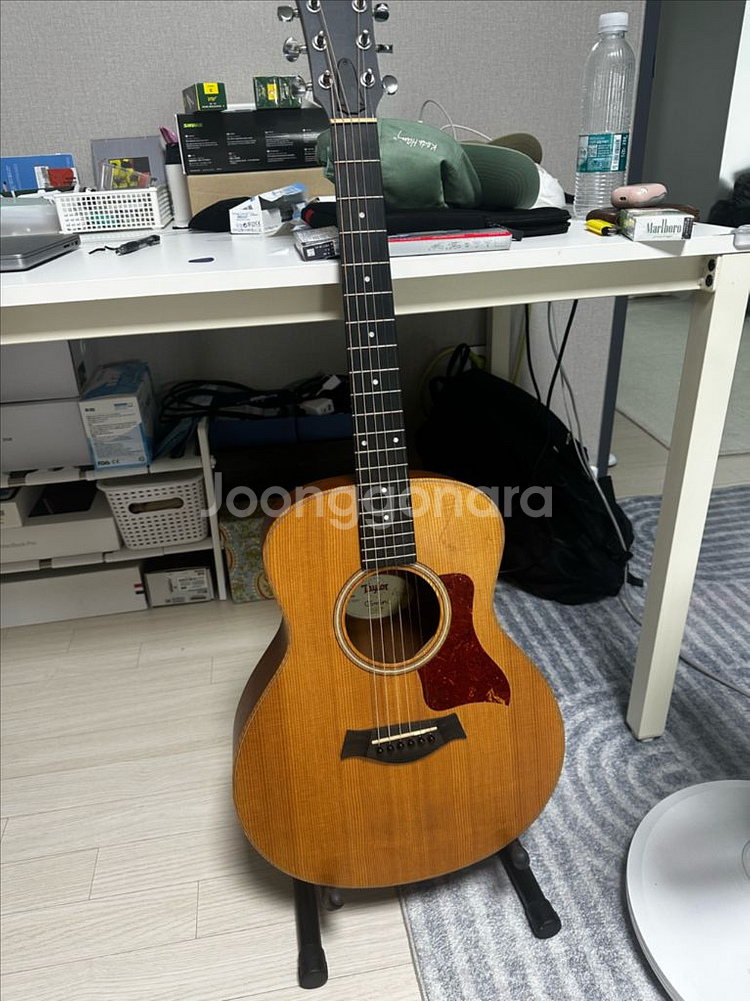 테일러 gs mini-e--0