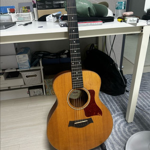 테일러 gs mini-e