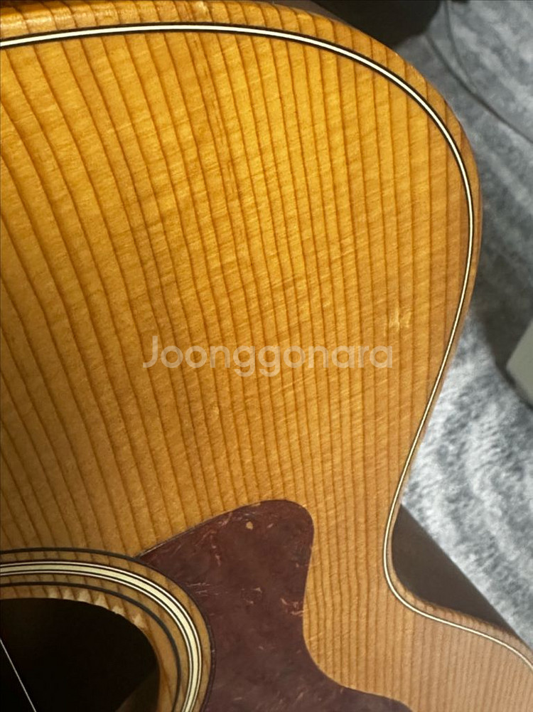 테일러 gs mini-e--1
