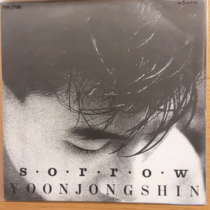 윤종신 2집 lp