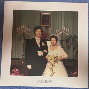 검정치마 team baby LP