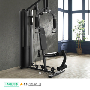 이고진 멀티홈짐 EX187, 바디엑스 로잉머신R2