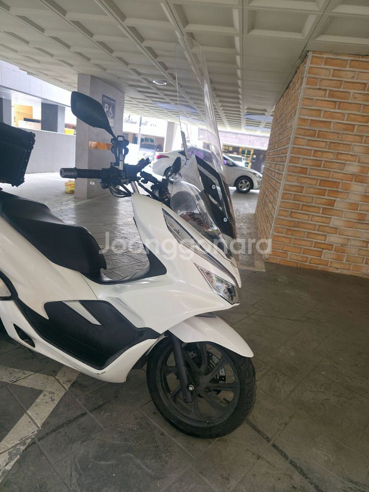 pcx150 20년식--1