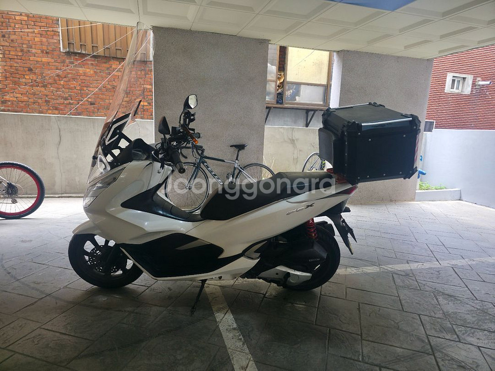 pcx150 20년식--3
