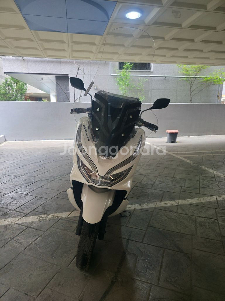 pcx150 20년식--0