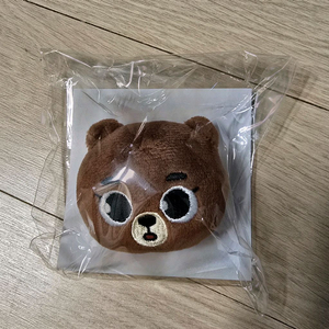 데이식스 일본 엠디 방이 뱃지 새상품