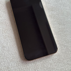 아이폰 13 프로 맥스 256GB 골드