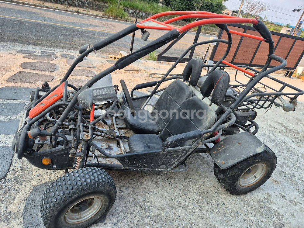PGO 버기카 150cc 팔아요--2