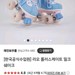 리오 롤러스케이트 210