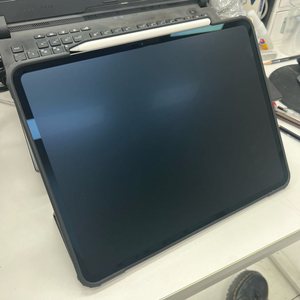 아이패드 프로 13 7세대 1tb 실사용 1개월