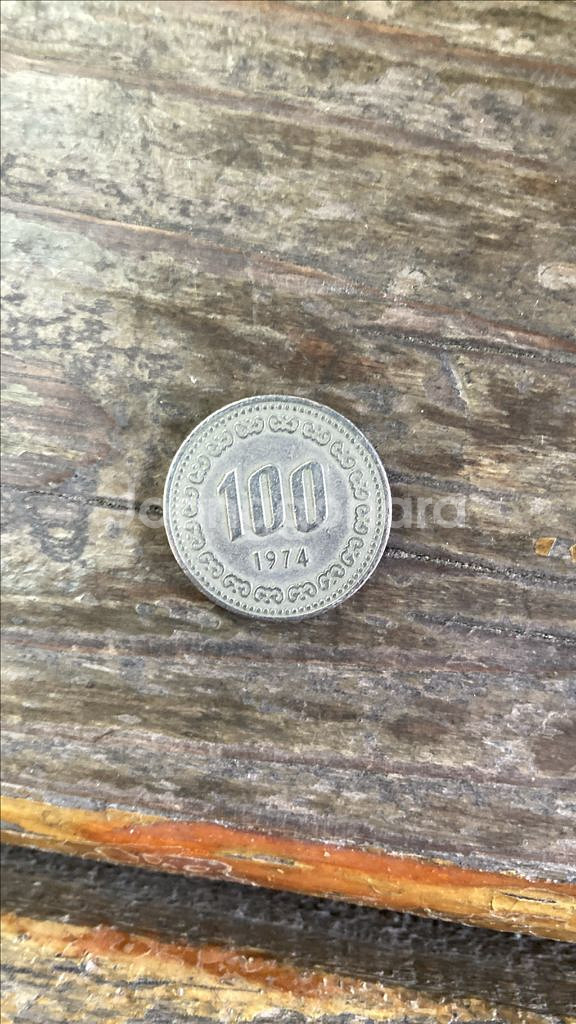 1974년,1984년도 100원 동전/1982년도50원--2