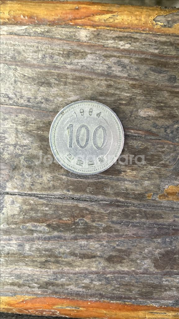 1974년,1984년도 100원 동전/1982년도50원--1