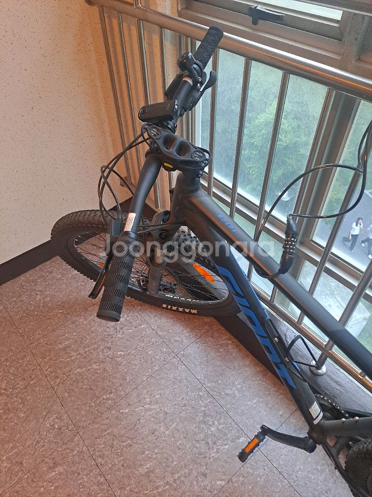 자이언트 타론1 라지--2