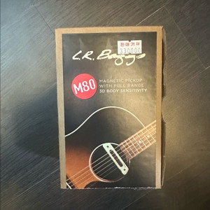 DELLO G-450E 기타, L.R. BAGGS픽업