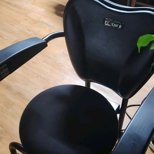 코어근육 활성화 전자동 허리운동 기구 150만원에 구입