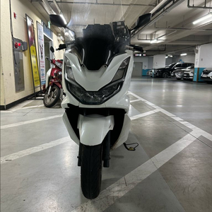 24년식 pcx125 팝니다