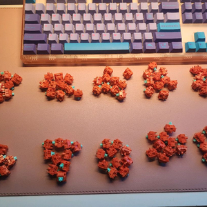 tecsee carrot 100ea