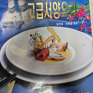 고급서양요리책