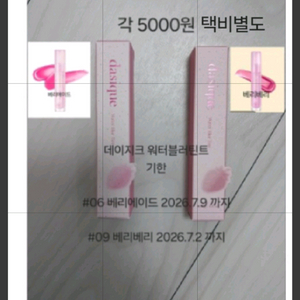 데이지크 립틴트 립팔레트 쿨톤추천