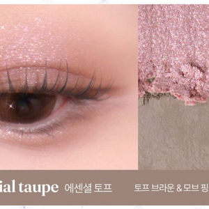 (새상품)태그 글림 온 아이 팔레트 7호 에센셜 토프