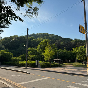 해밀턴 9797삽니다
