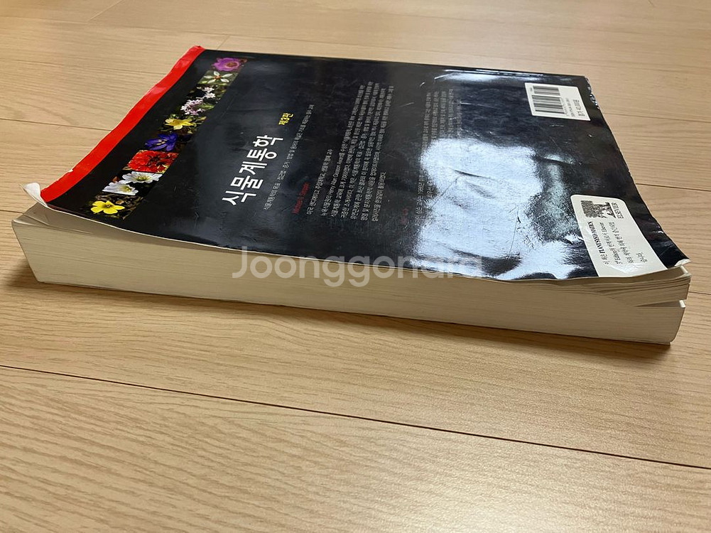 식물계통학 제3판--2