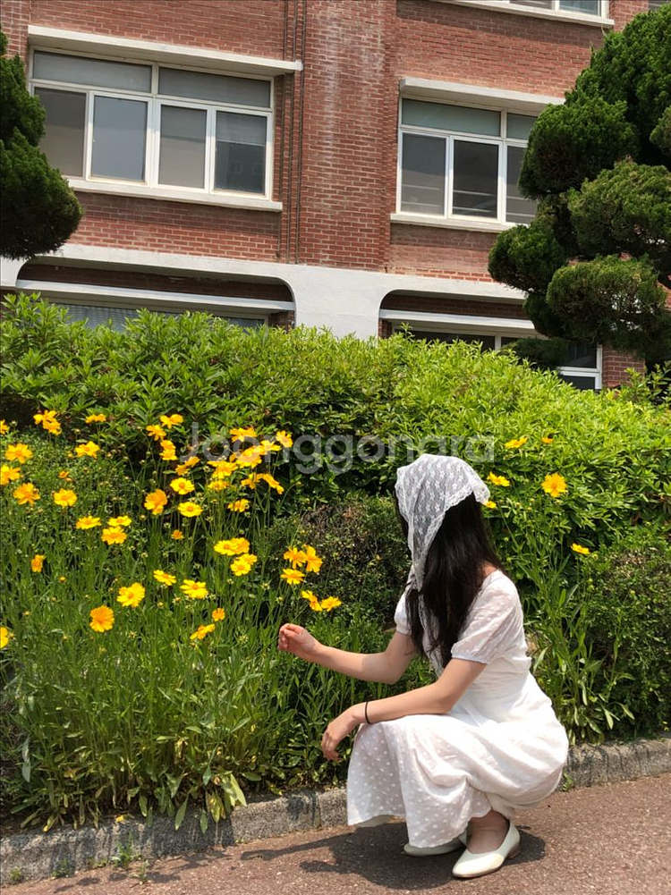 졸업사진 드레스--1