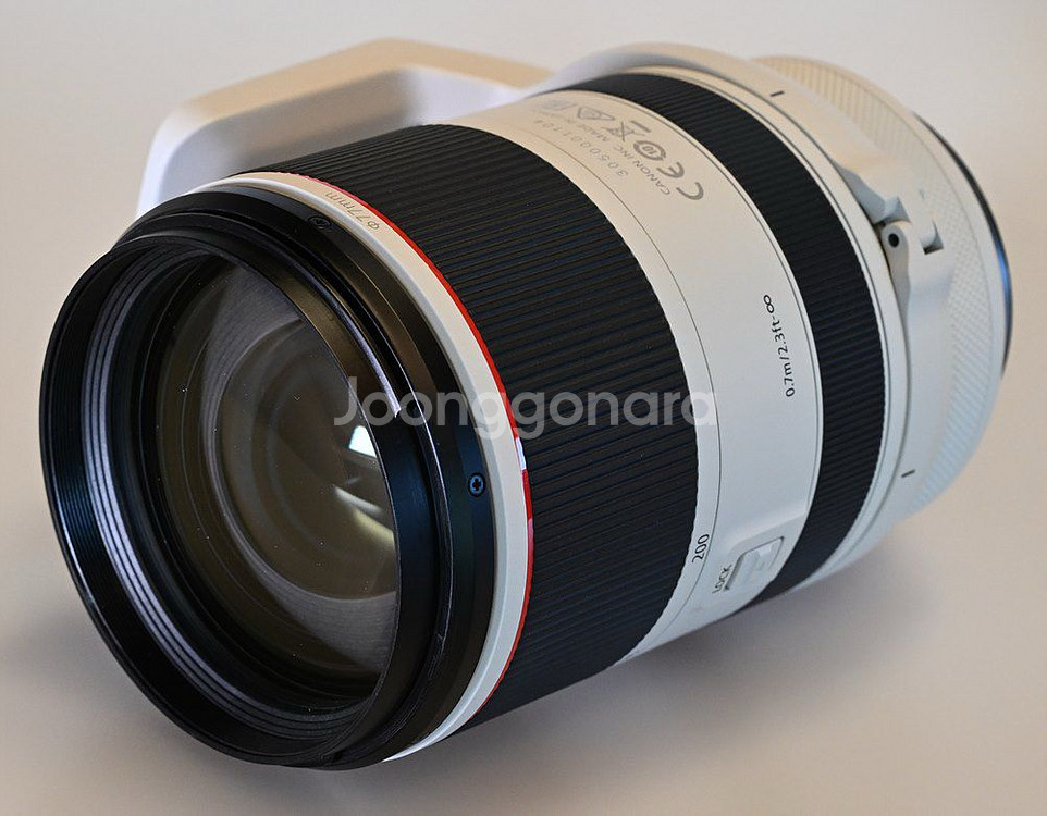 니콘 z9 / 캐논 RF70-200 2.8 알아빠--2