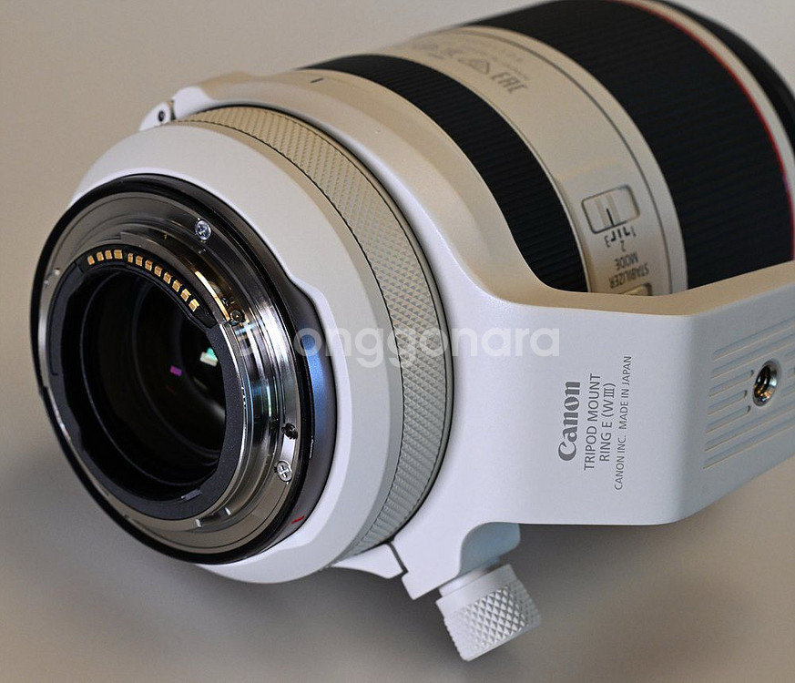 니콘 z9 / 캐논 RF70-200 2.8 알아빠--1