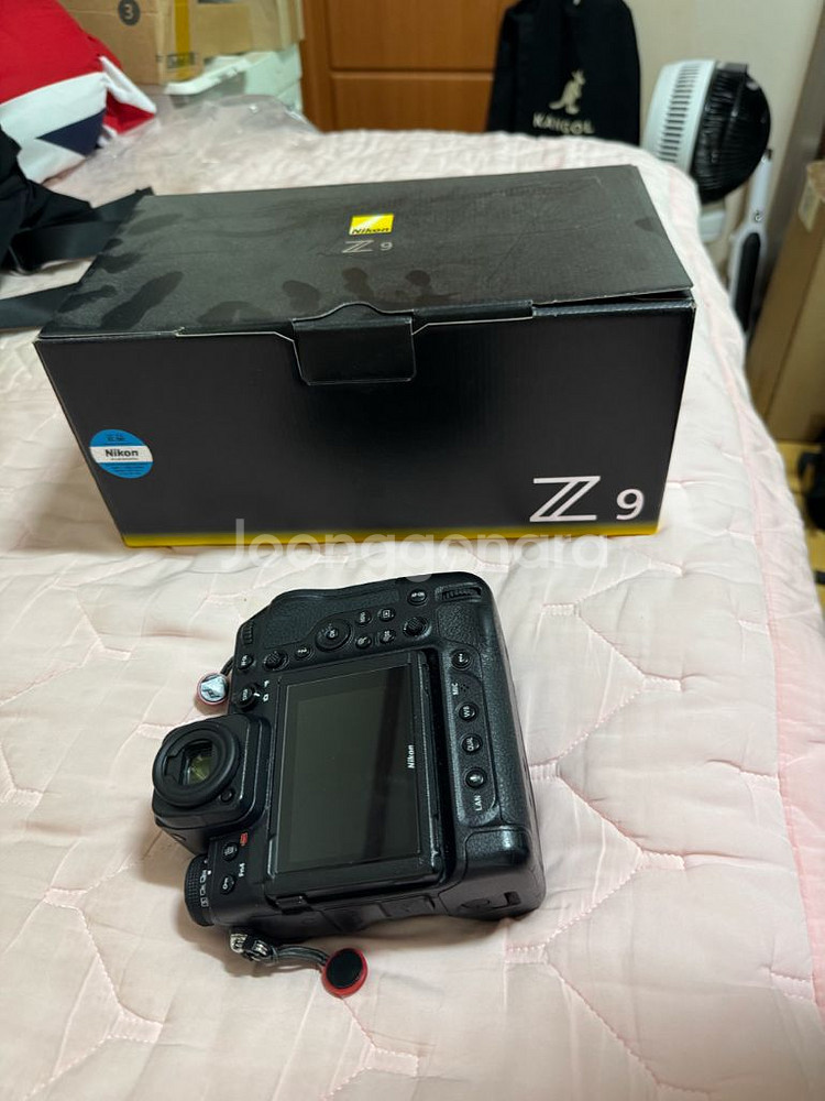 니콘 z9 / 캐논 RF70-200 2.8 알아빠--5