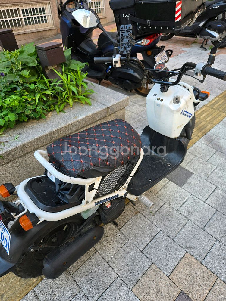 줌머 50cc--1