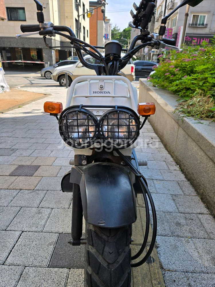 줌머 50cc--0