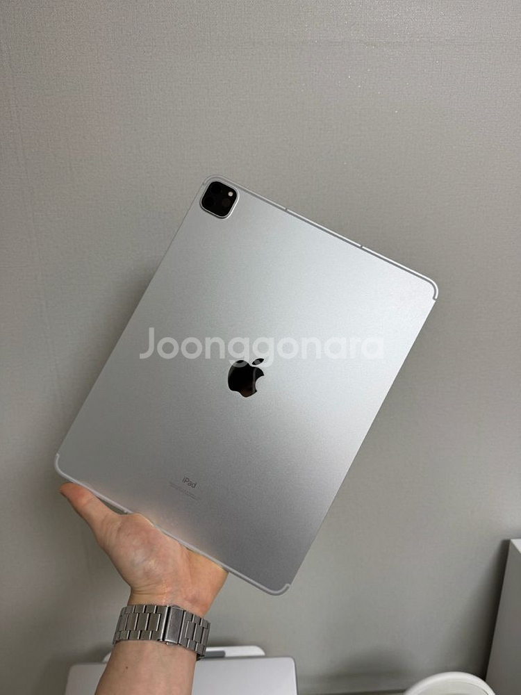 아이패드5세대 12.9인치 셀룰러 S급--0