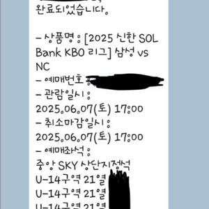 6/7(토) 삼성라이온즈 vs nc 중앙sky 2연석