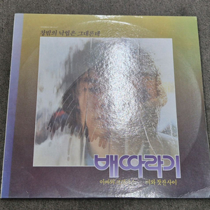 배따라기 LP판