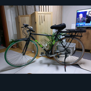 BUDY DOX 로드자전거 팝니댜