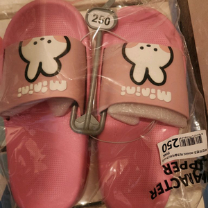 슬리퍼 250