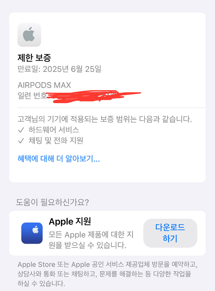 에어팟 맥스 실버 (보증 O)--5