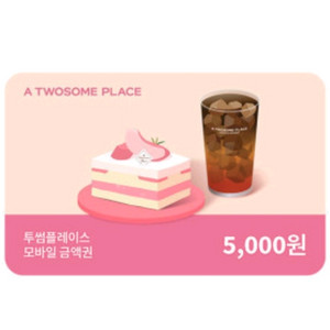 투썸플레이스 5000원 금액권