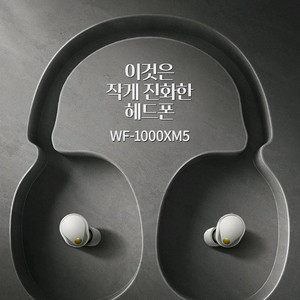 소니 wh 1000 xm5 플래티넘 실버 이어폰