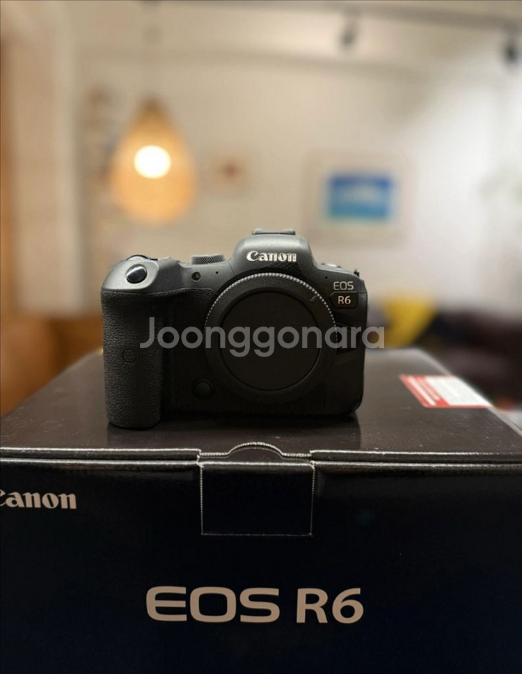 캐논 EOS R6 미러리스 카메라--0