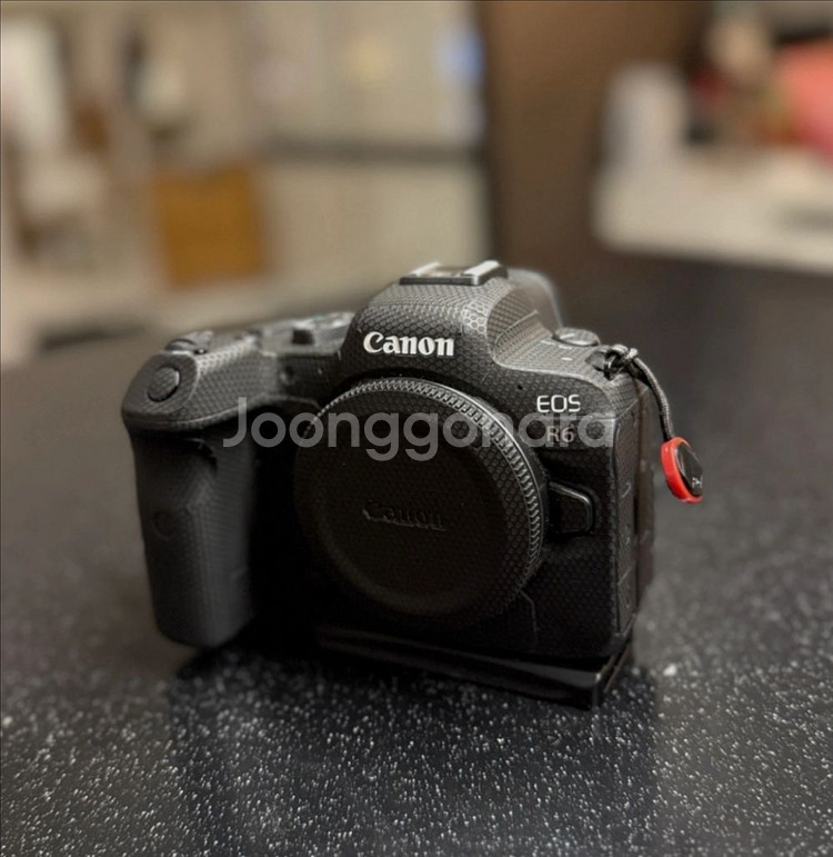 캐논 EOS R6 미러리스 카메라--6