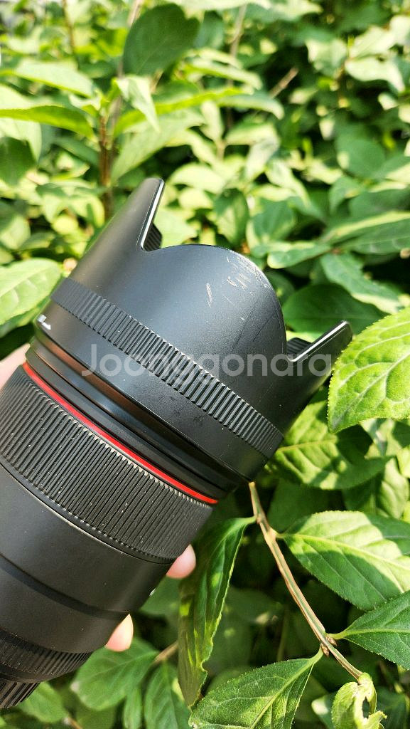 시그마 85mm F1.4 EX DG 캐논EF마운트--6