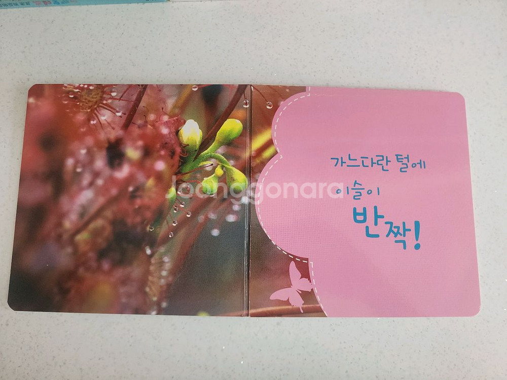 명꼬 자연이 통통 전집 74권 (총 76권중)--3
