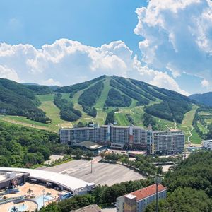 웰리힐리파크 콘도