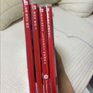 닌텐도칩